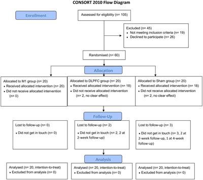 A randomised sham-controlled study evaluating rTMS analgesic efficacy for postherpetic neuralgia